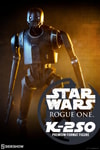 K-2SO View 1