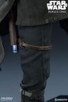 Jyn Erso Collector Edition View 9