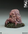 Swamp Thing Exclusive Edition View 5