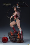 Wonder Woman Collector Edition View 21