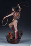 Wonder Woman Collector Edition View 22