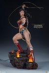 Wonder Woman Collector Edition View 26
