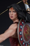 Wonder Woman Collector Edition View 29