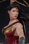 Wonder Woman Collector Edition View 30