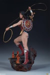 Wonder Woman Collector Edition View 5