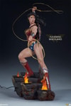 Wonder Woman Collector Edition View 10