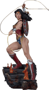 Wonder Woman Collector Edition View 35