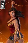 Wonder Woman Exclusive Edition View 5