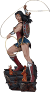 Wonder Woman Exclusive Edition View 40