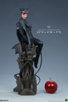 Catwoman Exclusive Edition View 36