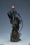 Catwoman Collector Edition View 30