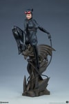 Catwoman Collector Edition View 29