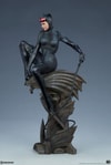 Catwoman Collector Edition View 28