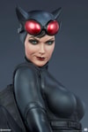 Catwoman Collector Edition View 25