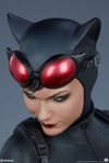 Catwoman Collector Edition View 23