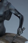 Catwoman Exclusive Edition View 24