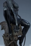 Catwoman Collector Edition View 2
