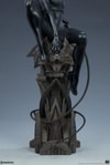 Catwoman Collector Edition View 14