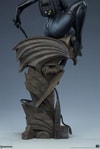 Catwoman Collector Edition View 11