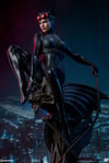 Catwoman Collector Edition View 8