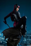 Catwoman Collector Edition View 5
