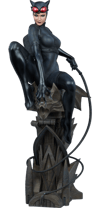 Catwoman Collector Edition View 34