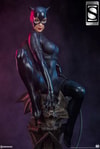 Catwoman Exclusive Edition View 5