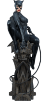 Catwoman Exclusive Edition View 39