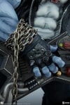 Lobo Collector Edition View 38
