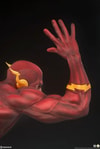 The Flash Collector Edition 