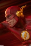The Flash Collector Edition 