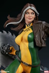 Rogue Collector Edition View 12