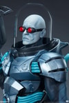 Mr. Freeze Collector Edition View 8