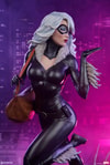 Black Cat