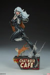 Black Cat