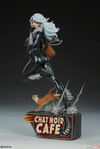 Black Cat