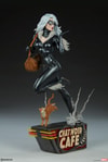 Black Cat