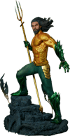Aquaman Collector Edition View 11