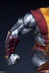Colossus Collector Edition View 2