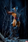 Wolverine Collector Edition View 1