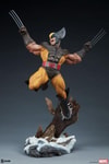 Wolverine Collector Edition View 25