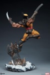 Wolverine Collector Edition View 21