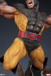 Wolverine Collector Edition View 17