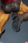 Wolverine Collector Edition View 11