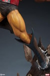 Wolverine Collector Edition View 10