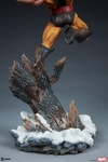 Wolverine Collector Edition View 7
