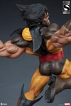 Wolverine Exclusive Edition View 4