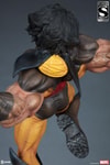Wolverine Exclusive Edition View 5