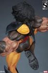 Wolverine Exclusive Edition View 5