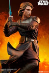 Anakin Skywalker™ Mythos